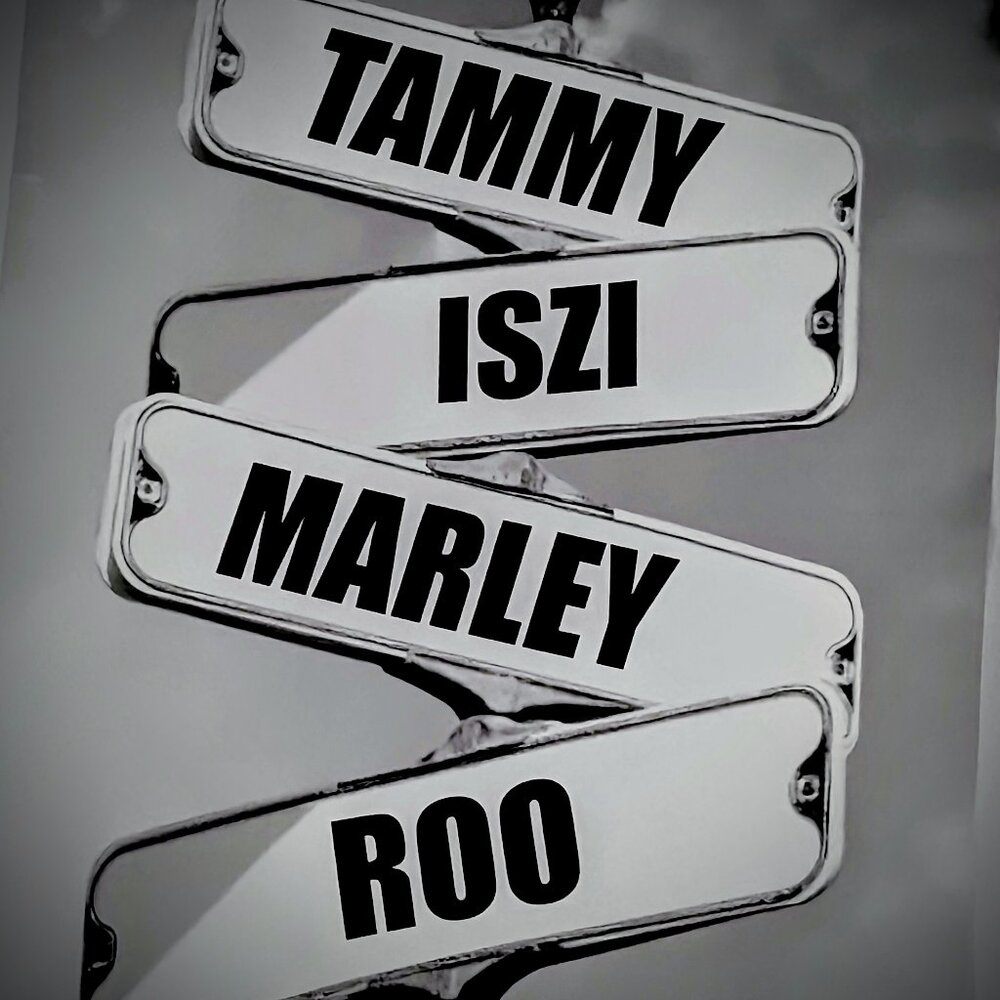 Meet your Posher, Tammy